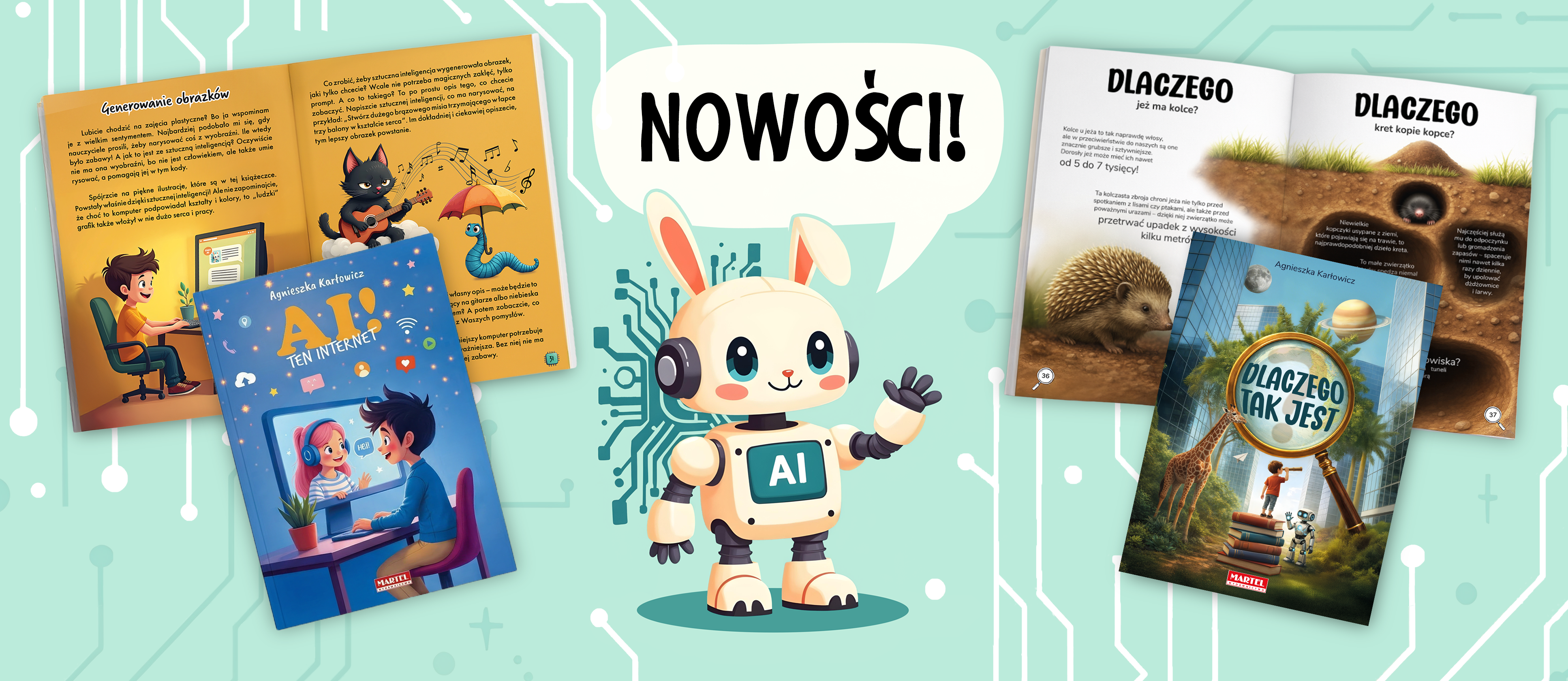 Dlaczego tak jest, Ai