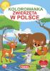 9788366753730 Kolorowanka Zwierzęta w Polsce